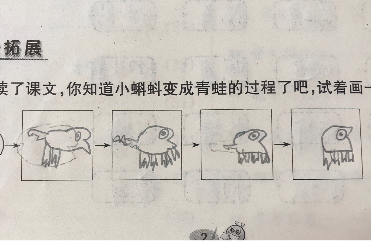 小学生在作业上画“青蛙”，老师看后一脸问号，网友：灵魂画手
