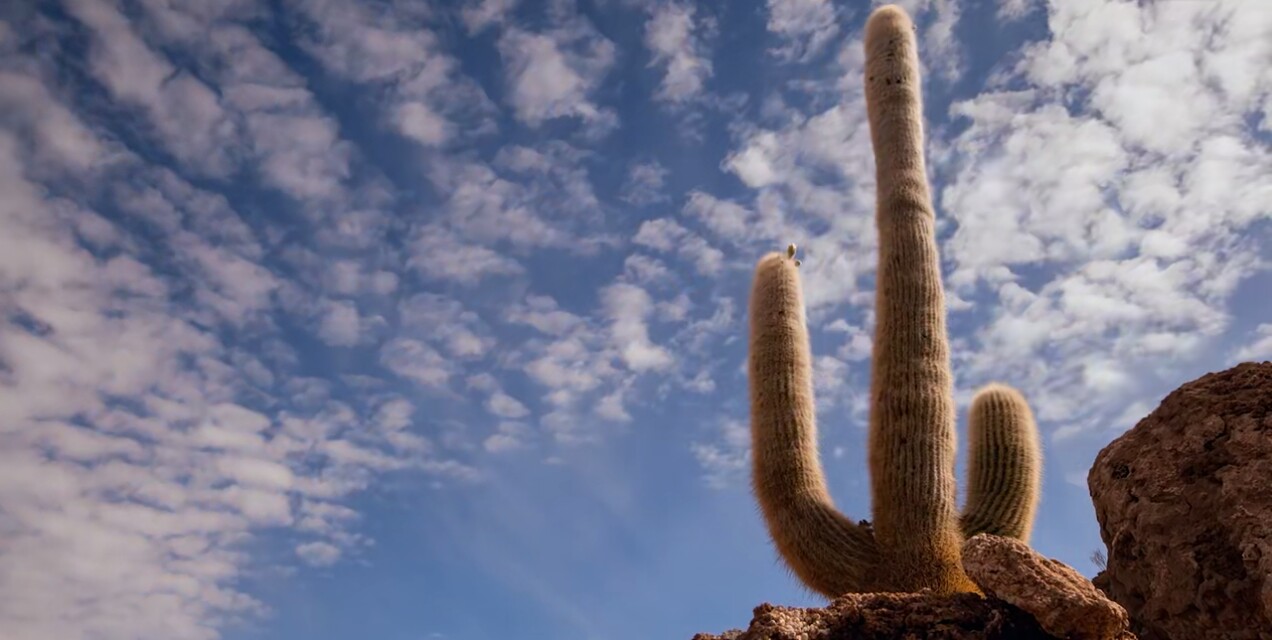 亚当与夏娃吃禁果寓指的真实义