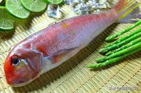 海魚圖片大全,海魚圖片大全及名稱