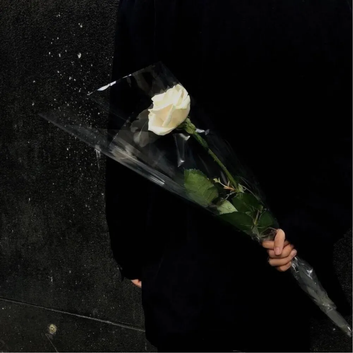 关于喜欢你可又得不到你的说说配图「文案」 _qq说说网