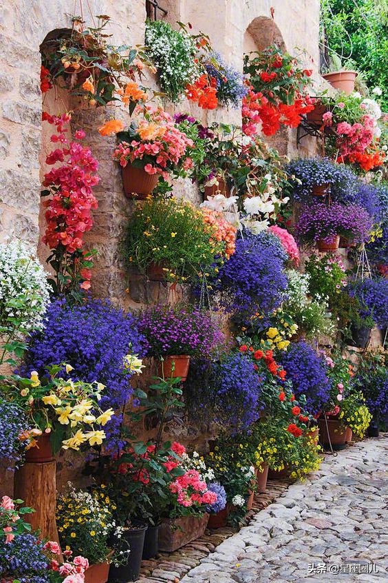 习惯独来独往的星座，不是习惯了孤独，无非是因为“人情”两个字