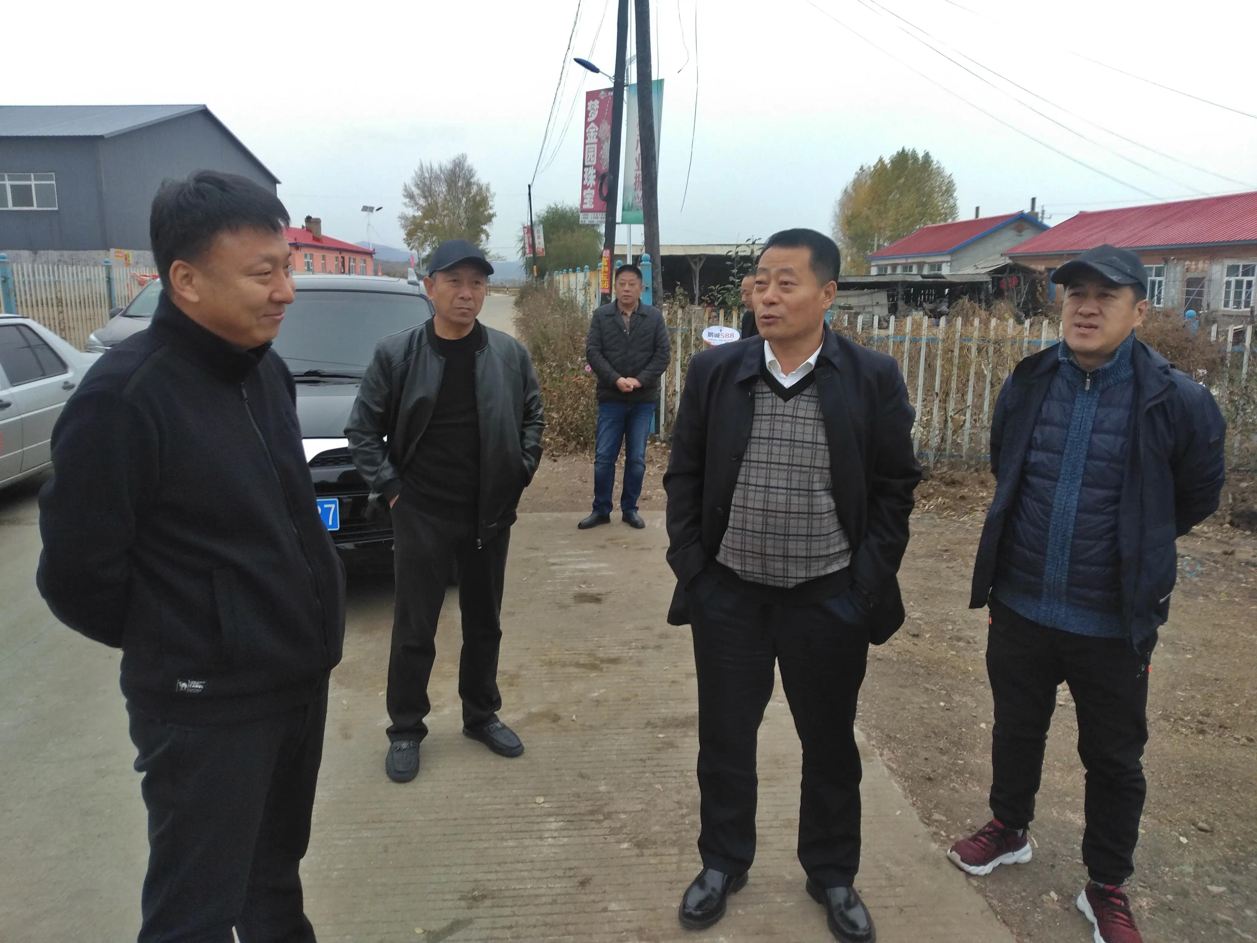 宝清县农发中心主任马国发一行检查督导重点项目建设工作