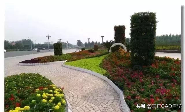园林景观花坛设计技巧总结,看完涨知识了