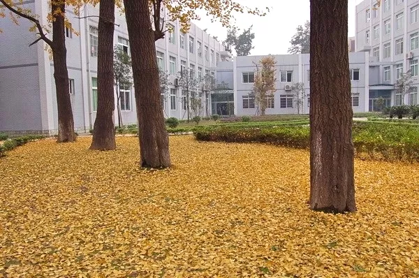 这所单招学校位于中国酒都，还有一个五粮液技术与食品工程学院