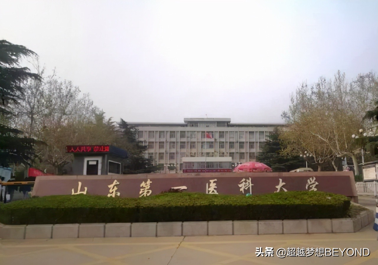 山东第一医科大学2021年山东省各专业录取分数统计