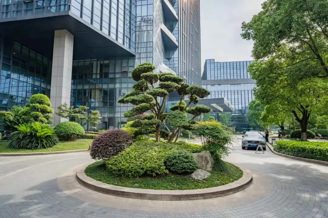 绿化率达到45%以上,整个景观设计围绕"场地性原则,生态性原则,功能性