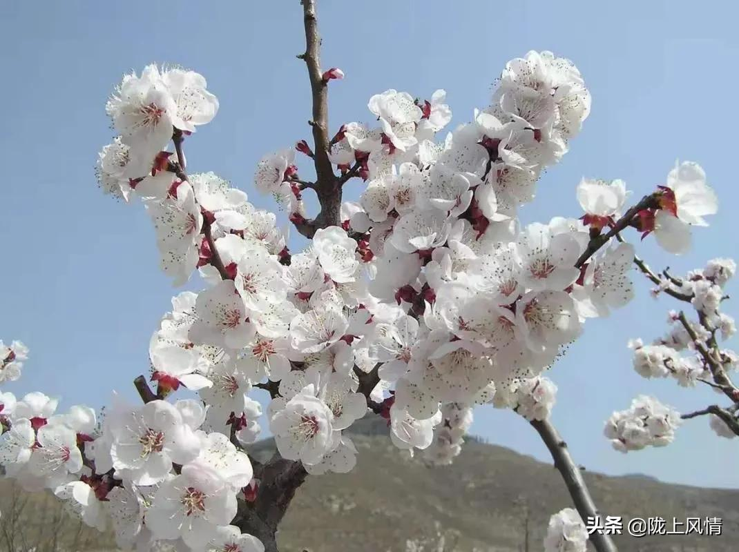 慎终追远一一怀念我的父亲