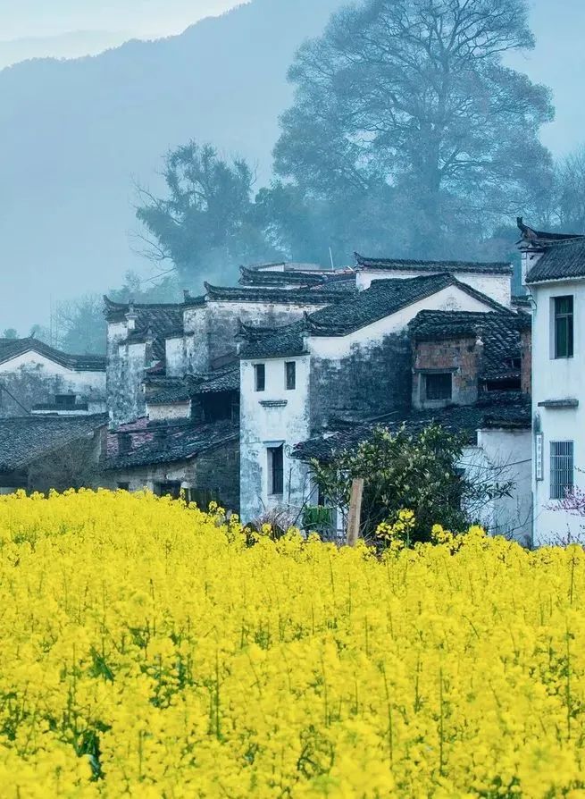 国内最值得去的40个地方，个个美如画，少去一个都可惜