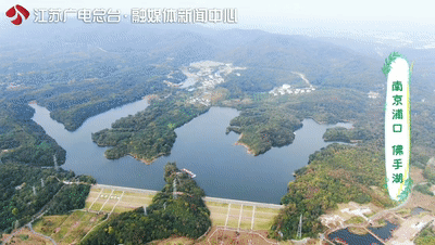 美了1500年，这里的古银杏即将迎来颜值巅峰