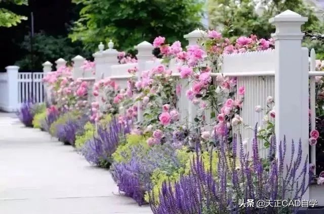 园林景观花坛设计技巧总结,看完涨知识了