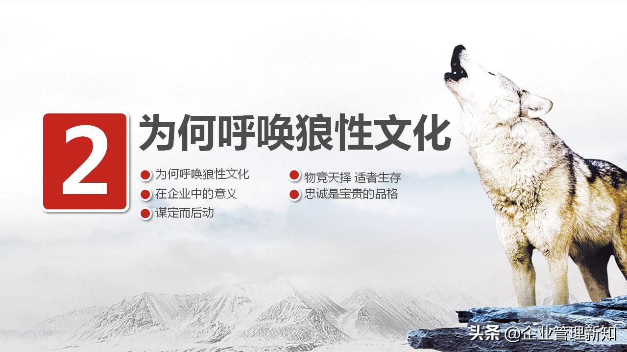 33页完整版，狼性文化与企业精神培训PPT，可直接用于员工培训