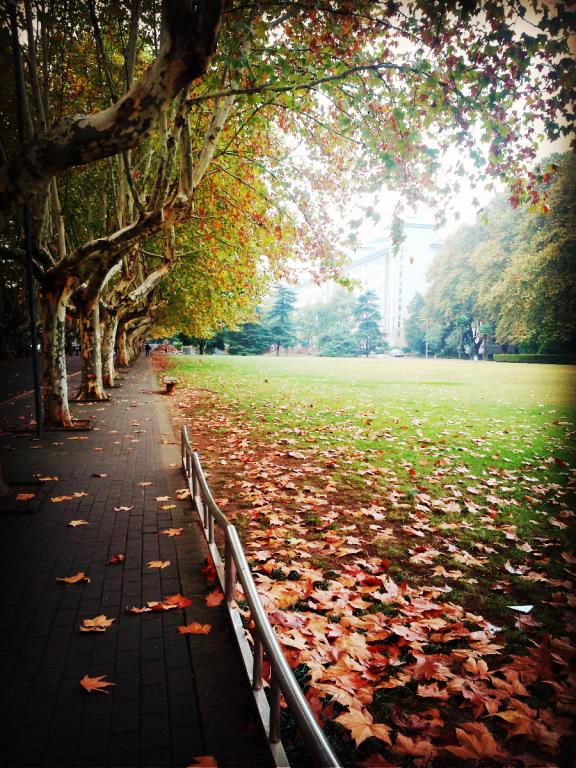 南京农业大学经济管理学院2019级硕士拟录取名单（不含mba）