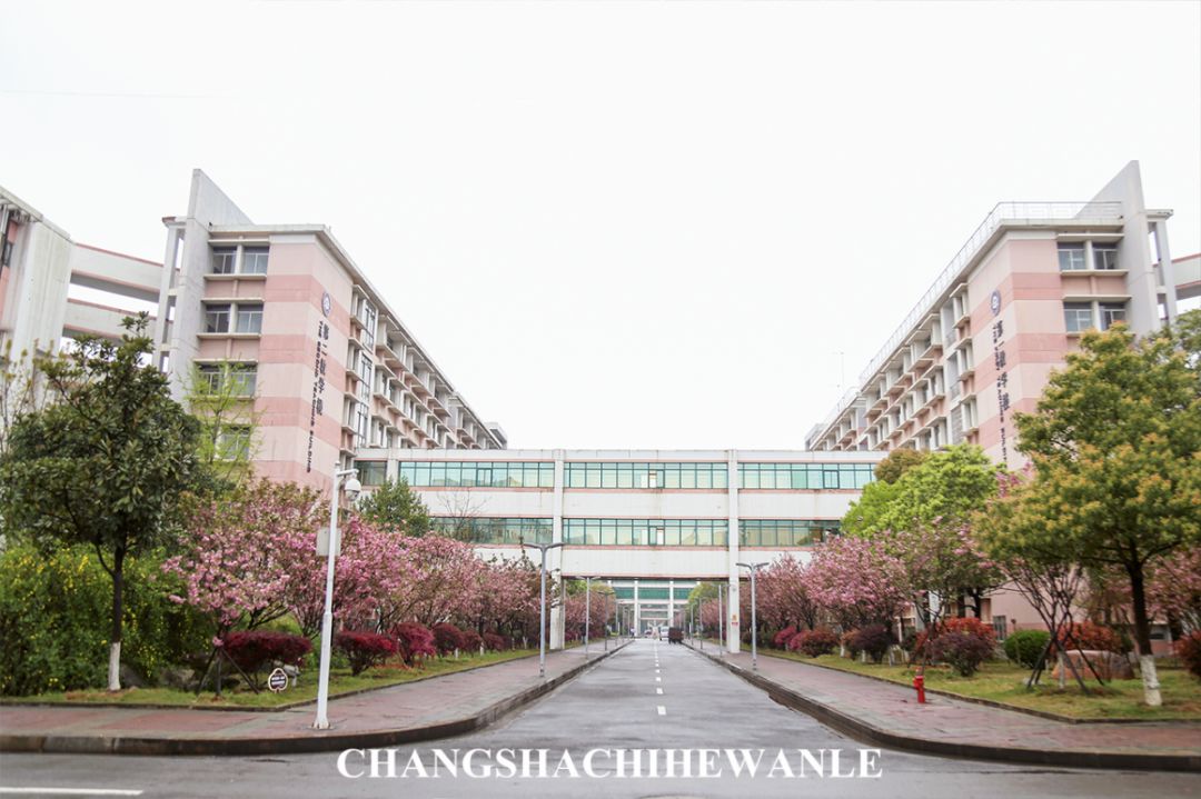 你好，湖南中医药大学！