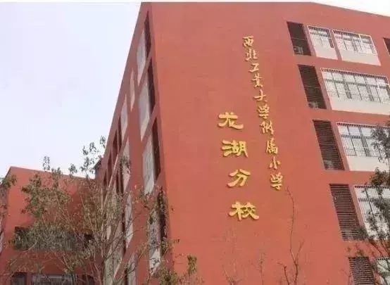 2019西安优质小学大解析！