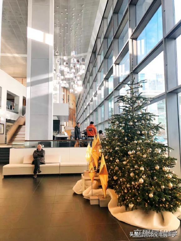 号称严谨的国家——德国留学有哪些热门专业值得选择？