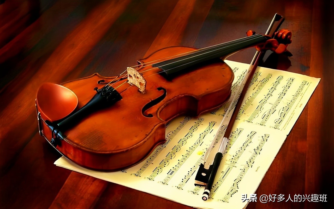 小提琴价格一般多少钱一把？有什么不同吗？