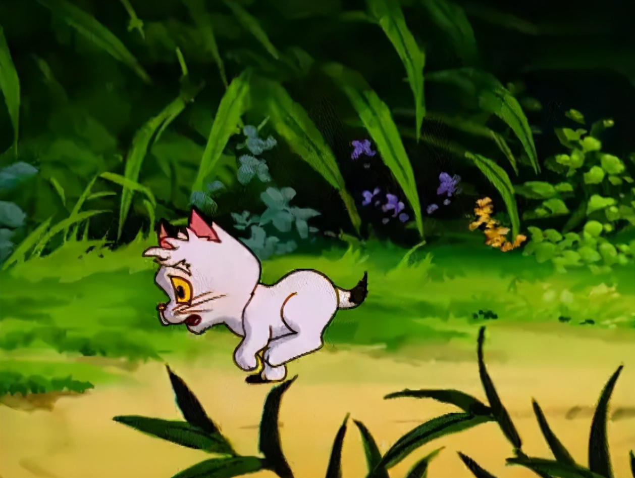 小贝流浪记,国内"最具教育意义的动画",成就了一只会飞的猫