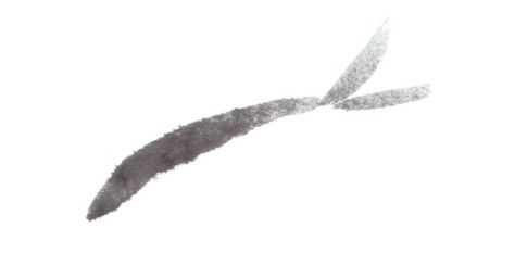 教你画草鱼:用浓墨以中锋为主画出鱼尾,以侧锋画出背鳍,快学习