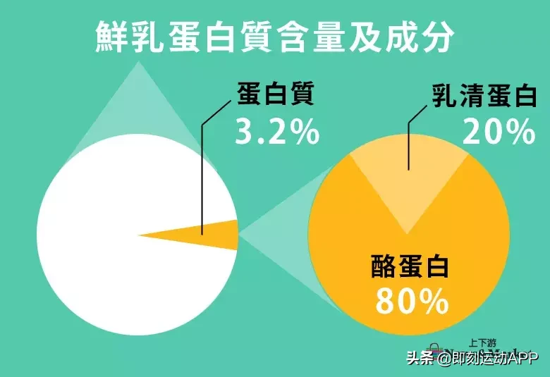 芝士热量高吗会不会胖（分享关于芝士热量的冷知识）