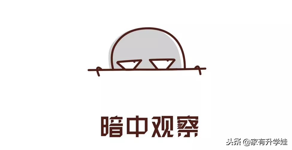 扫盲丨幼升小入门必须知道的11个名词和暗语！