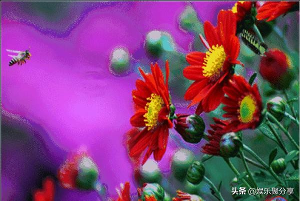 人活着；不喊累，不认输，不低头，不哭穷