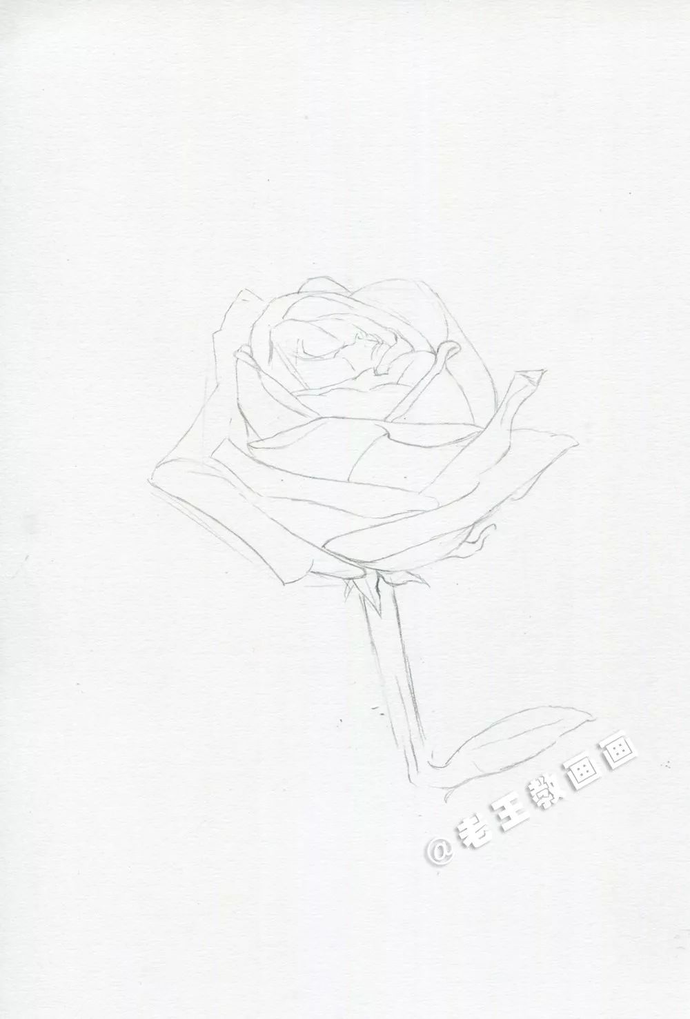 老王手把手教你画彩铅玫瑰花，比真花好看100倍！