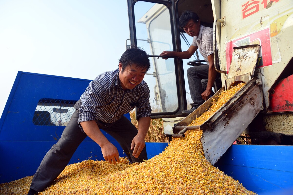 7月起，官方给农民发“2笔钱”，直发一卡通，3类农民领不到