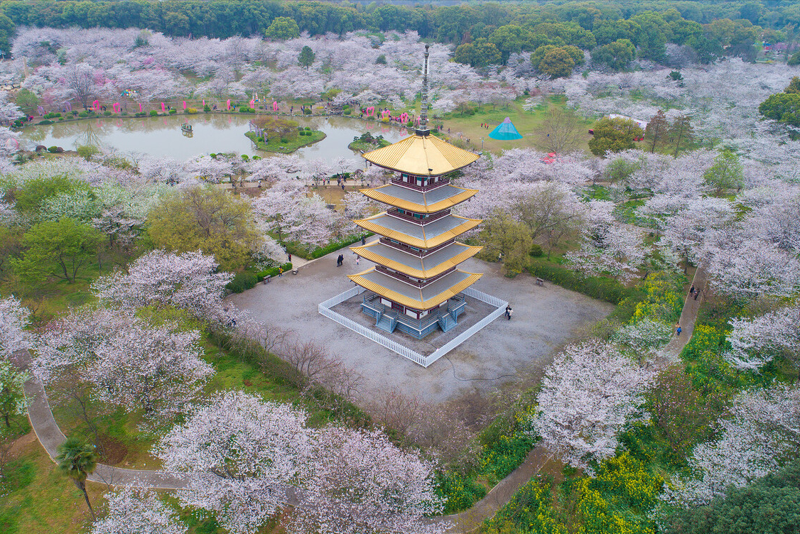 武汉大学学科实力有多强？两个专业排名全国第一，清华也难以超越