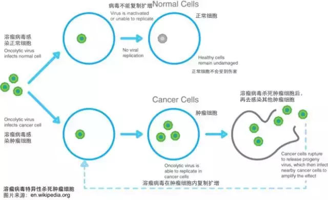 关于癌症的最强深度科普