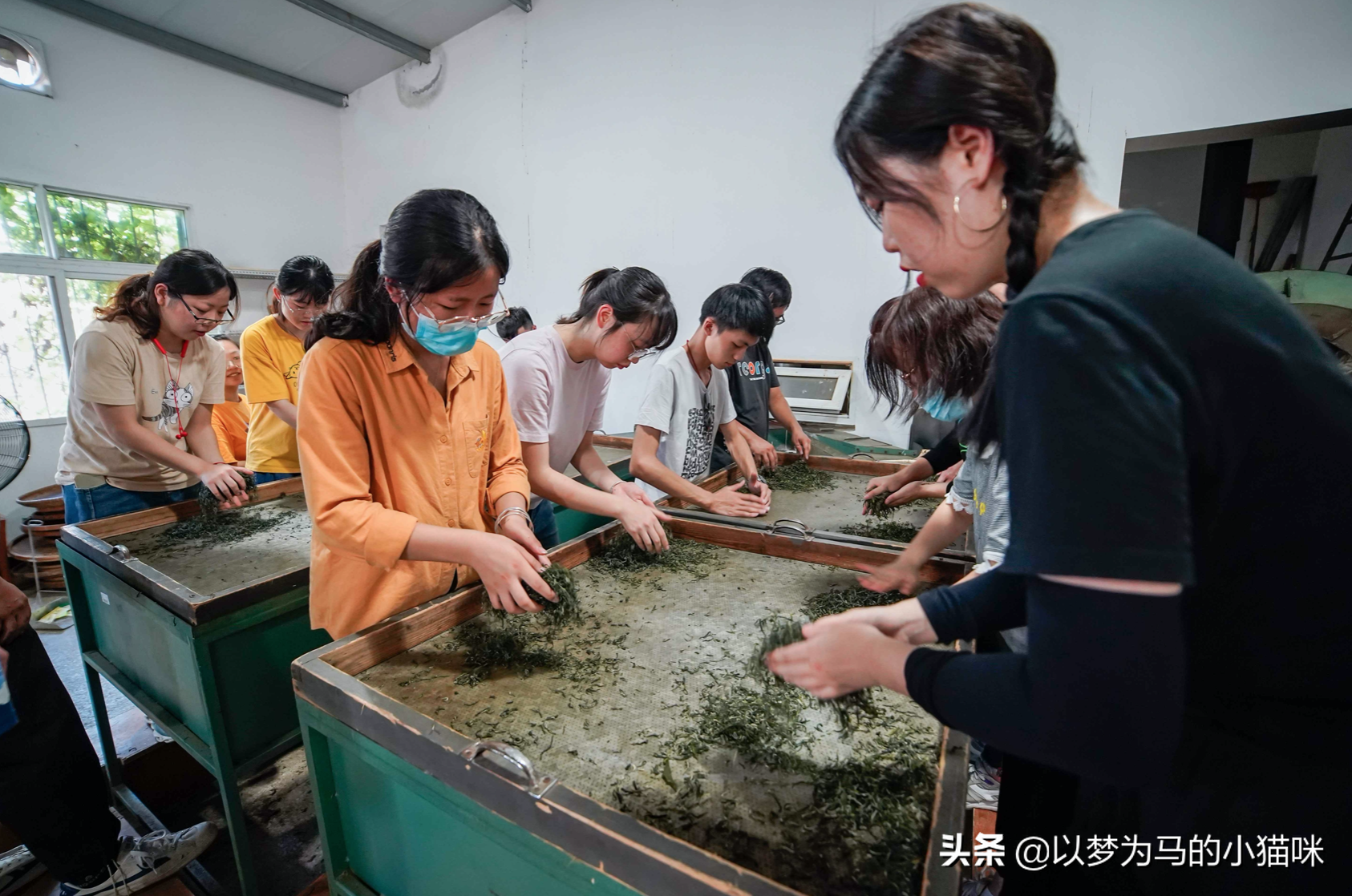 女生冷門又高薪的職業有哪些報考的6類冷門專業