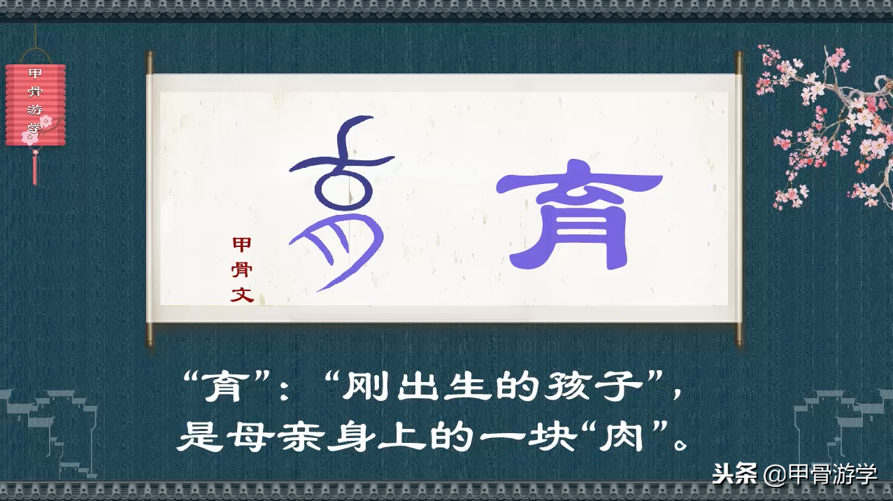 说文解字：“子”的图解
