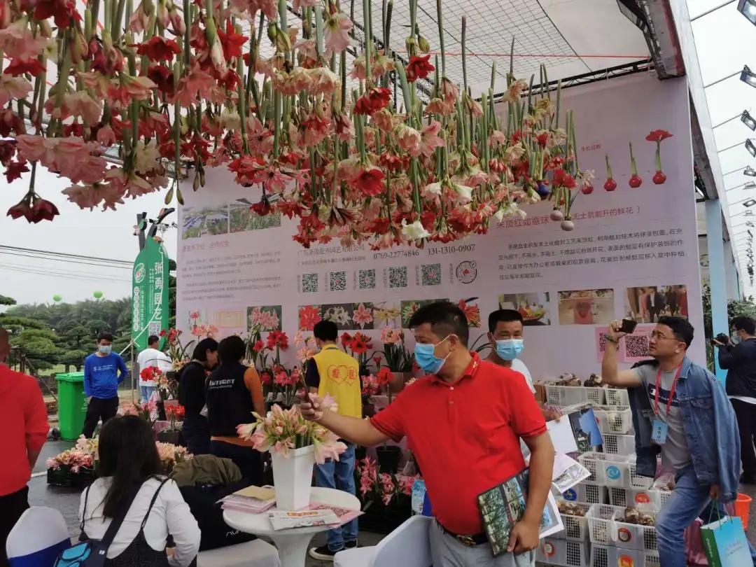 这个花木产业大会,为何能吸引全国16个省份、150多家单位参展?
