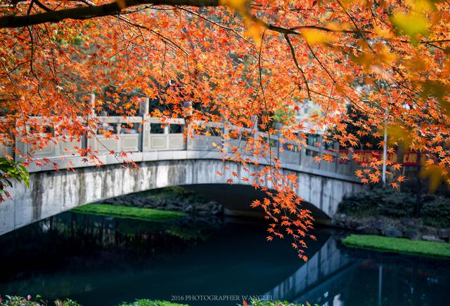重磅干货，考生和家长必备！浙江大学2019年各地区招生咨询联系方式公布！
