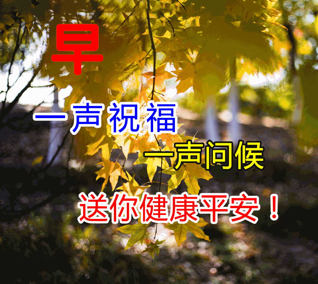 适合发朋友圈的最新早安语录图片