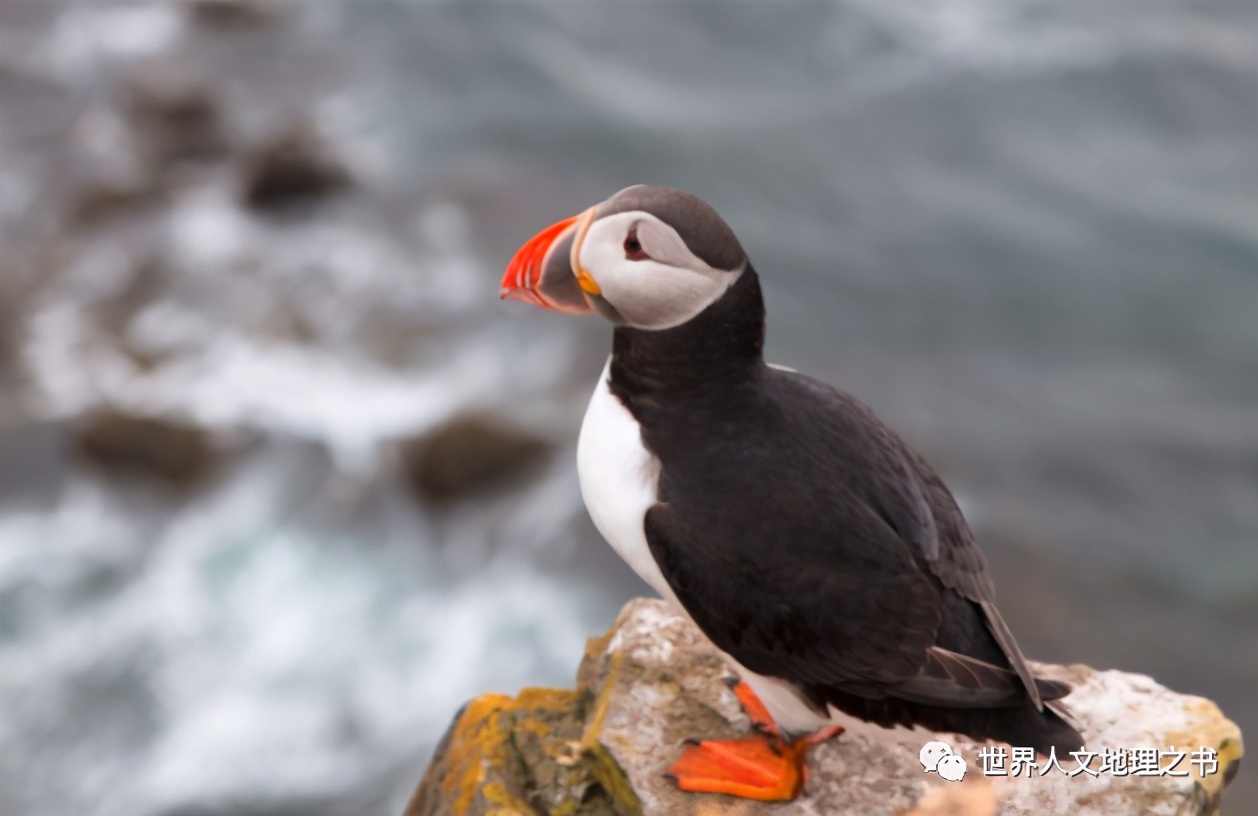 远在世界尽头的国家