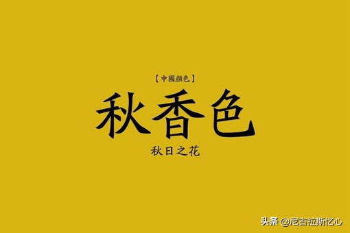 何的形近字及组词(坷的词语组词解释及笔画)