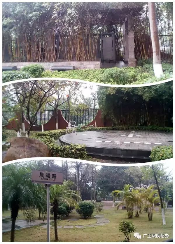 2020年广东3+证书最低录取210分，广州卫生职业技术学院介绍