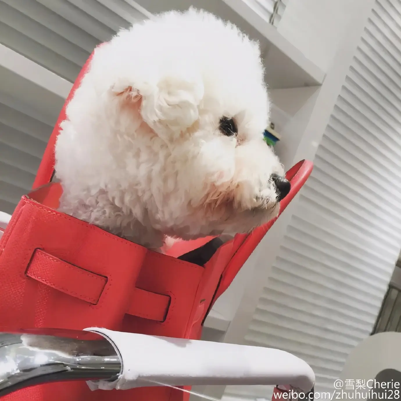 淘宝模特红人模特都有谁（知名的淘宝网红模特排行榜）