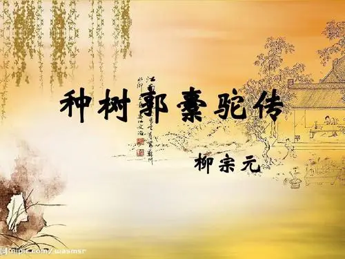 种树郭橐驼传翻译及原文