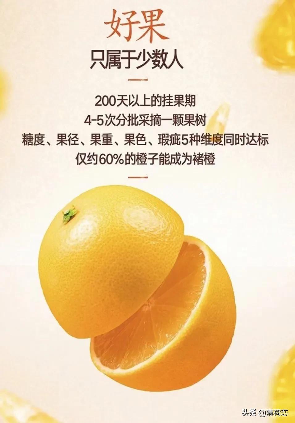 （原创）32种橘橙柚大集合之二，喜欢哪个快来看看哦