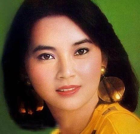 对于现在的年轻人来说,孙俪或许比她的姨奶奶名气更大,但早年胡慧中顶