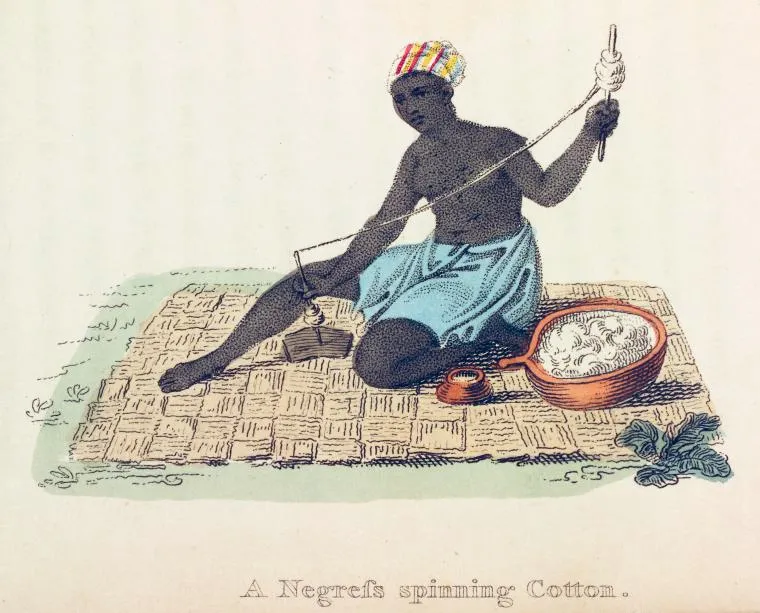 美国往事：棉花、奴隶与世界经济