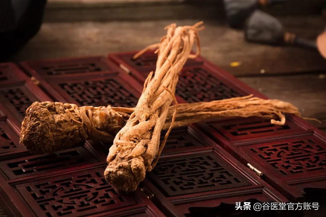 冬季手脚冰凉,一碗“藏阳气,攻老寒”的温补汤送给你