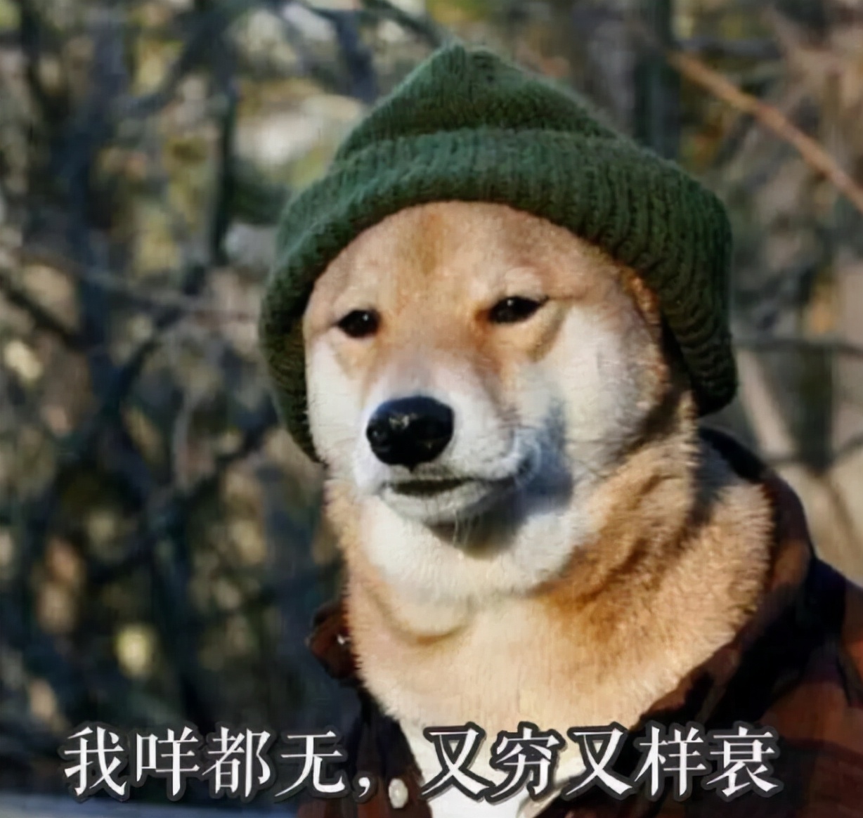 当大学生开始用“现金”，意味着什么？过来人吐槽：掏家底了呗