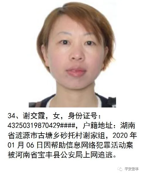 网上逃犯,网上逃犯名单查询系统