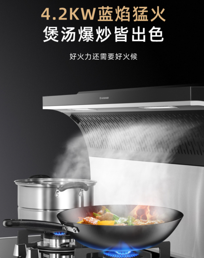 集成灶选择：森歌帅丰火星人美大亿田，多品牌、细节、款式分