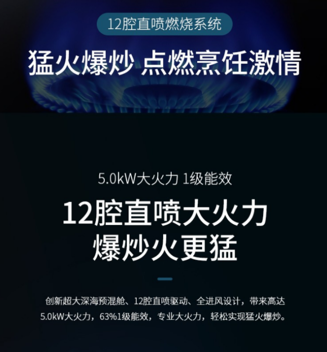 集成灶选择：森歌帅丰火星人美大亿田，多品牌、细节、款式分