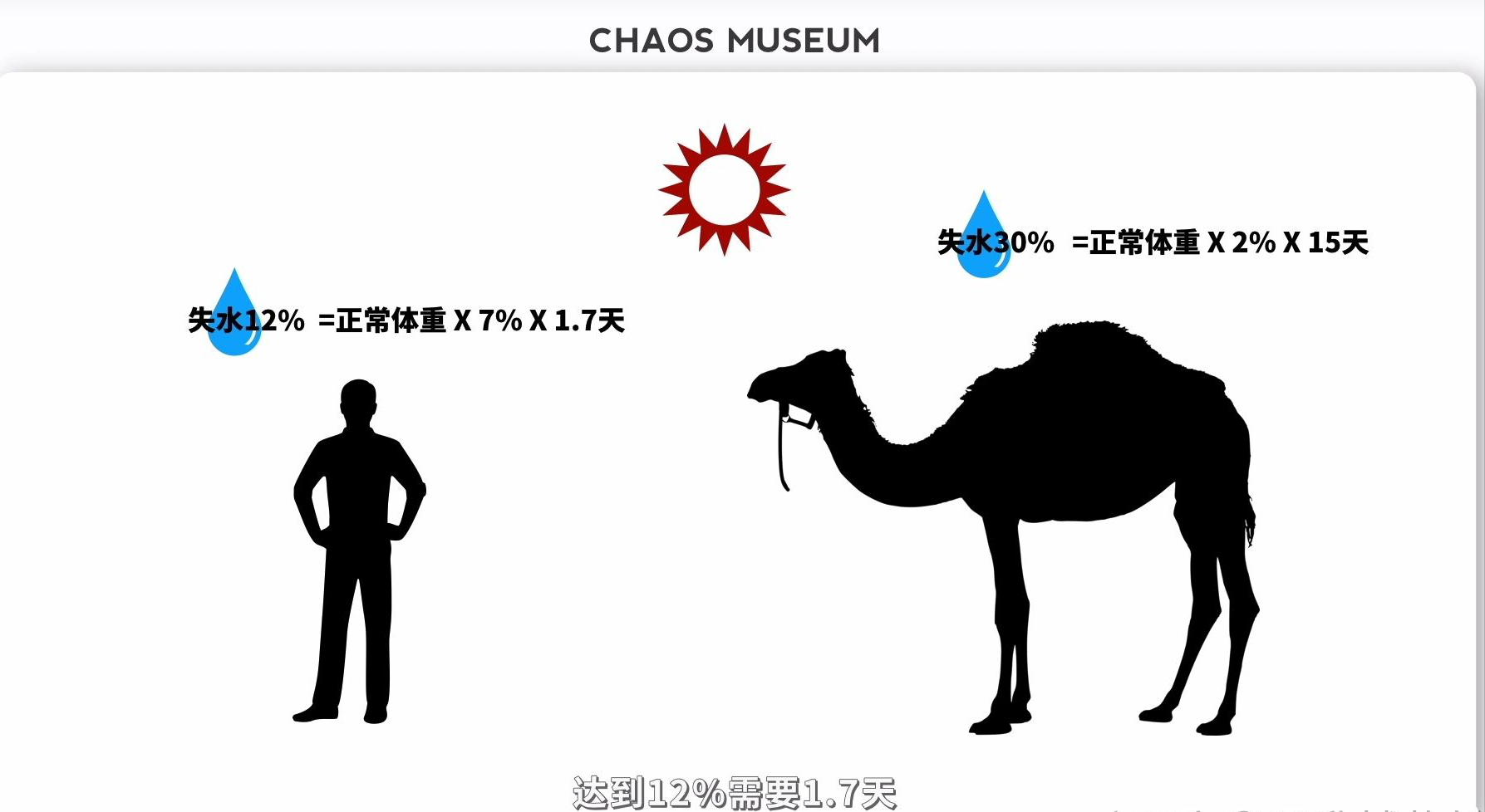 澳洲的骆驼是怎么来的？它泛滥的后果是什么？为何要开飞机围剿？