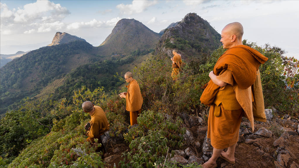 罗翔老师的《刑法学讲义》读感分享