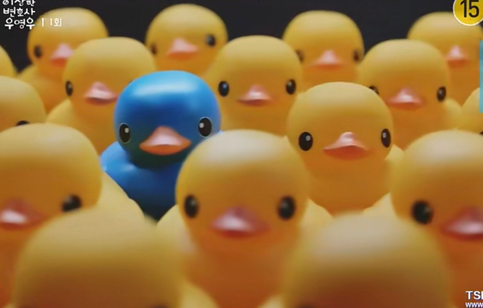 豆瓣9.1分的《奇怪的律师禹英祐》，她究竟有多特别